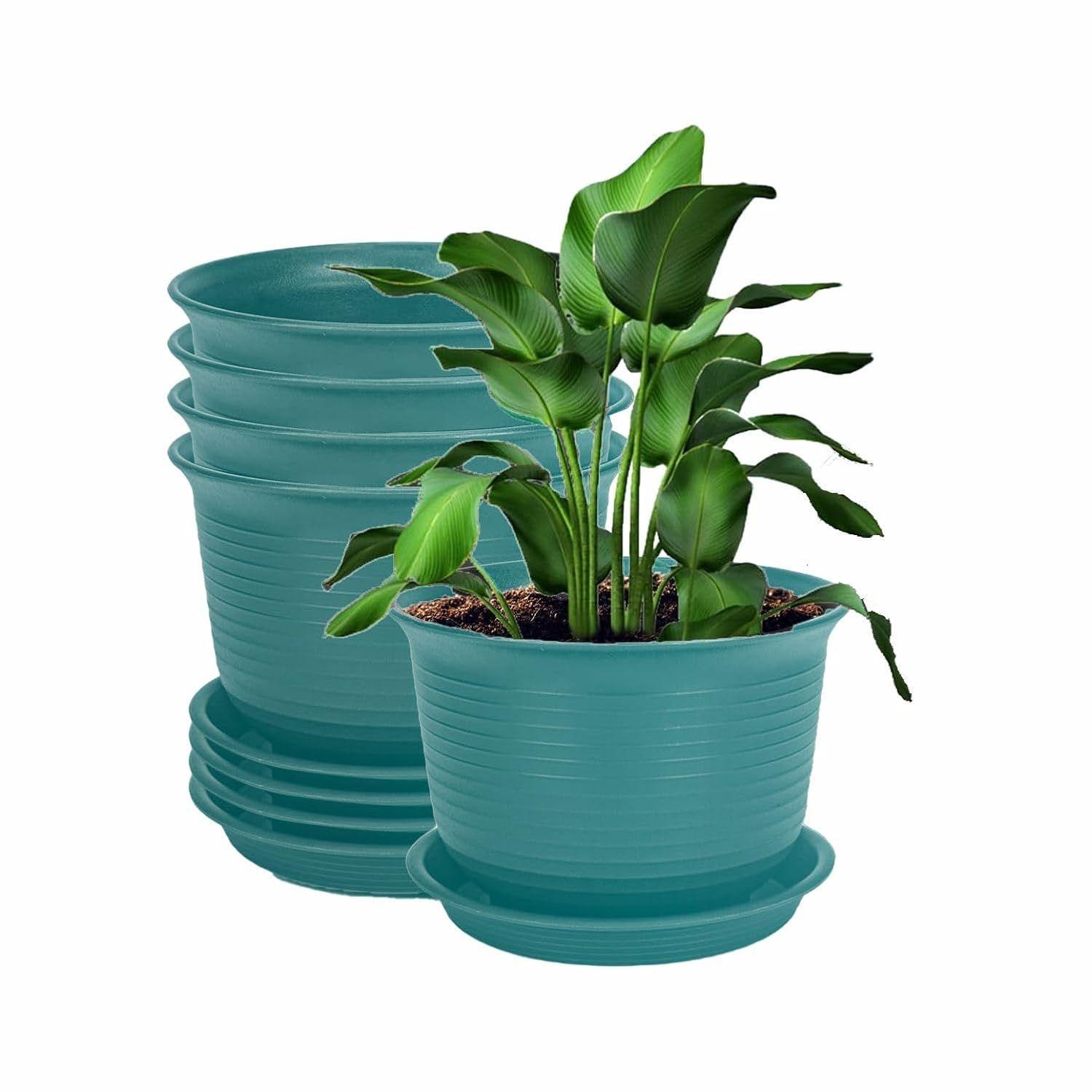 

Plastic Round Flower Pots with Tray for Home Planters, Terrace, Garden Etc | Pack of 05 | Peacock | Size 8 Inch | for Home Indoor & Outdoor