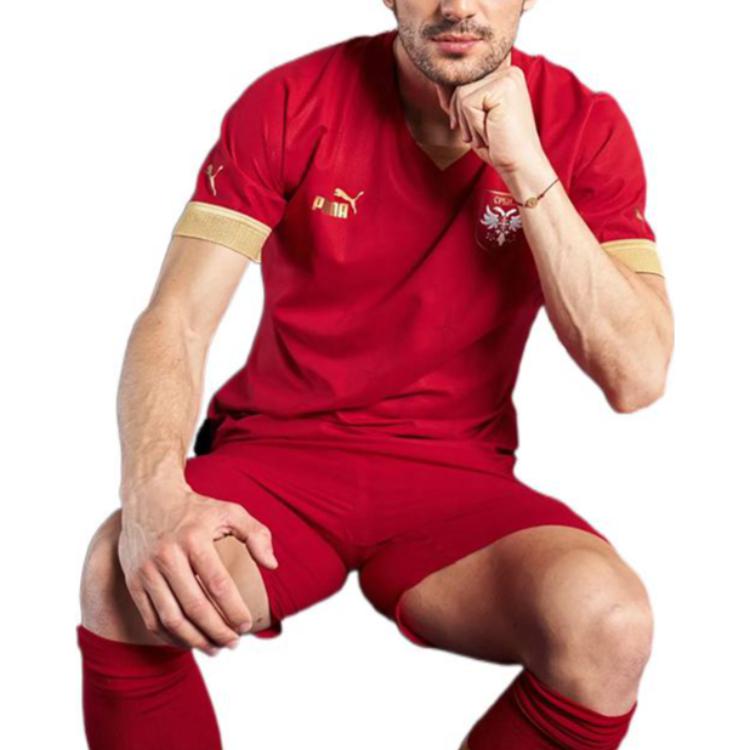 Puma Soccer Jerseys Men's Red Moderate Straight Fit 765760-01