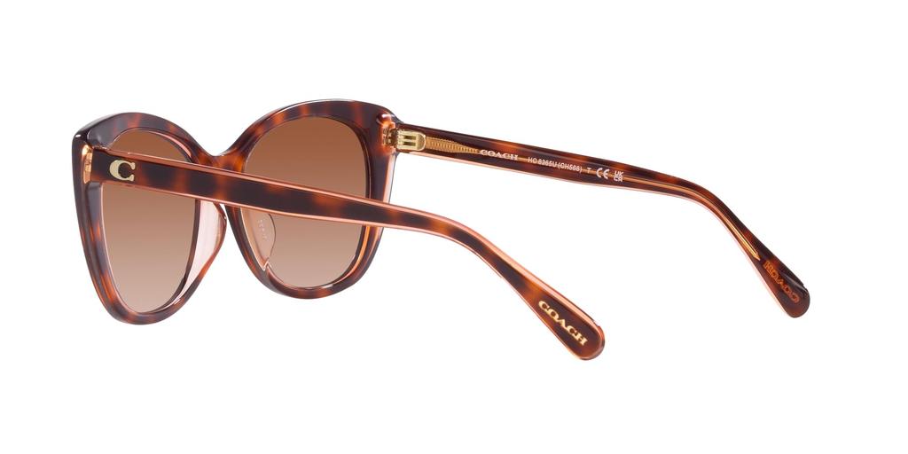 Sunglasses HC8365U CH566 PINK PINK GRADIENT Lens 55 [Coach] TORTOISE/TRANSPARENT Frame/BROWN