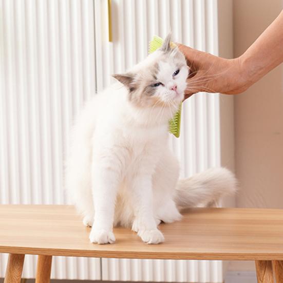 Katzenkratzer mit abgerundeten, stumpfen Kammzähnen, integrierte Katzenminztabletten, Kleberückseite, Katzenpflege-Werkzeug, Möbel