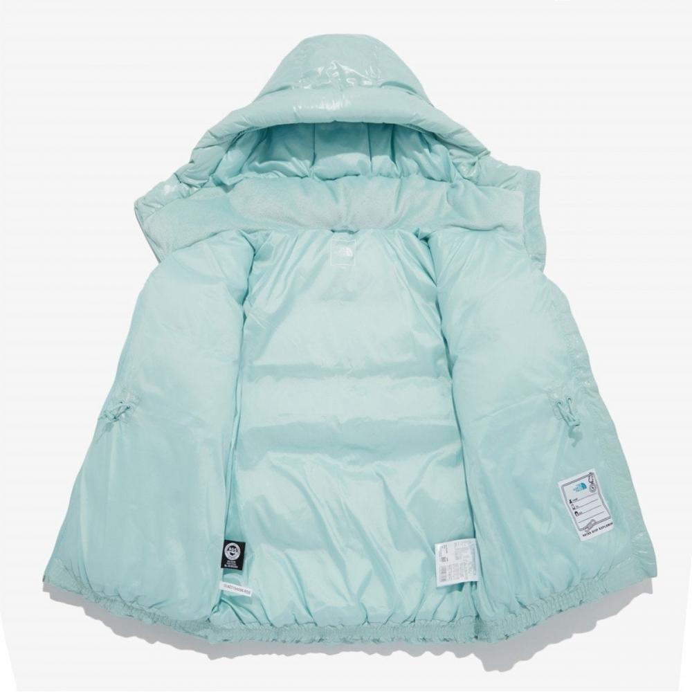 The North Face Kids Girls Glitter Rds Down Jacket Mint Nj1dq58s