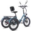 FAFREES F20 Mate L2E-P certified,20x3.0" folding electric cargo tricycle,48V 23.45ah,500W,3 riding modes,maximum assisted range of up to 125km.