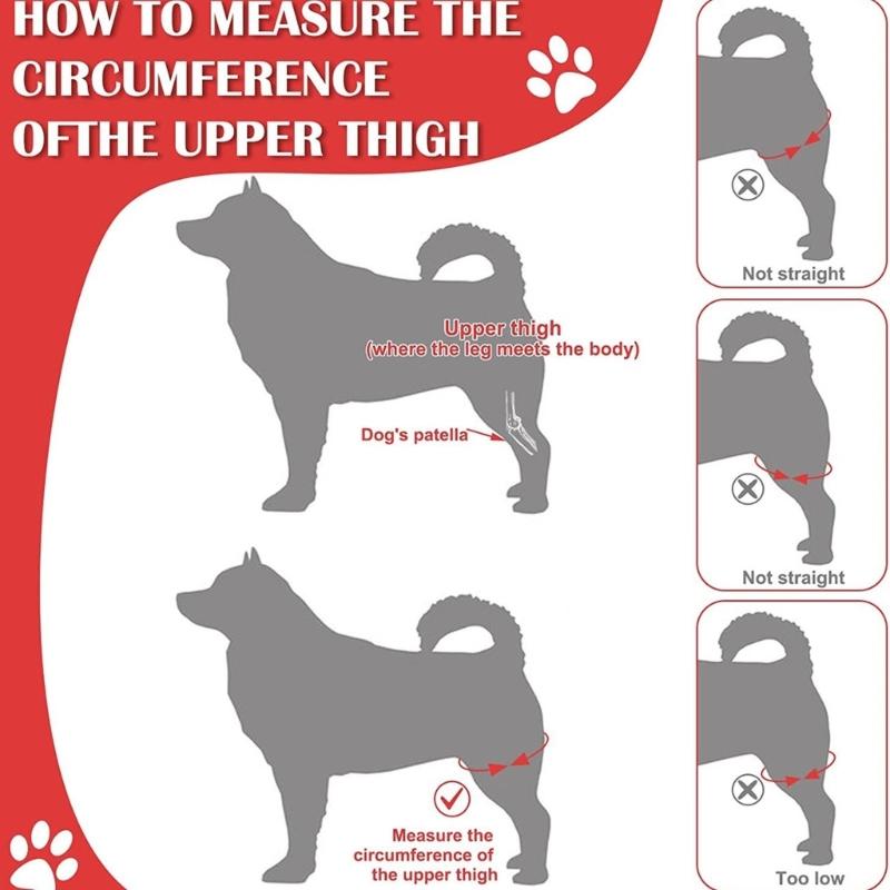 Safety Pet Dogs Waterproof Thigh Cover for Dogs to Prevent Injuries Crafted from Soft Material for Various Activity