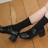 [Gift Wrapping] Wave Basic Knee Socks 6 Colors