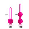 Safe Silicone Smart Ball Kegel Ball Ben Wa Ball Vagina Tighten Exercise Machine Vaginal Geisha Ball Sex Toys for Women