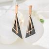 Non-titanium Steel Long Earrings Modify Face Shape Temperament Fringed Earrings Triangle Earrings Niche Personality Design