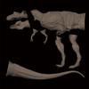 Tyrannosaurus Type B Medium Soft Vinyl Kit Reproduction Scale Soft Vinyl Unpainted Assembly Kit 1/35
