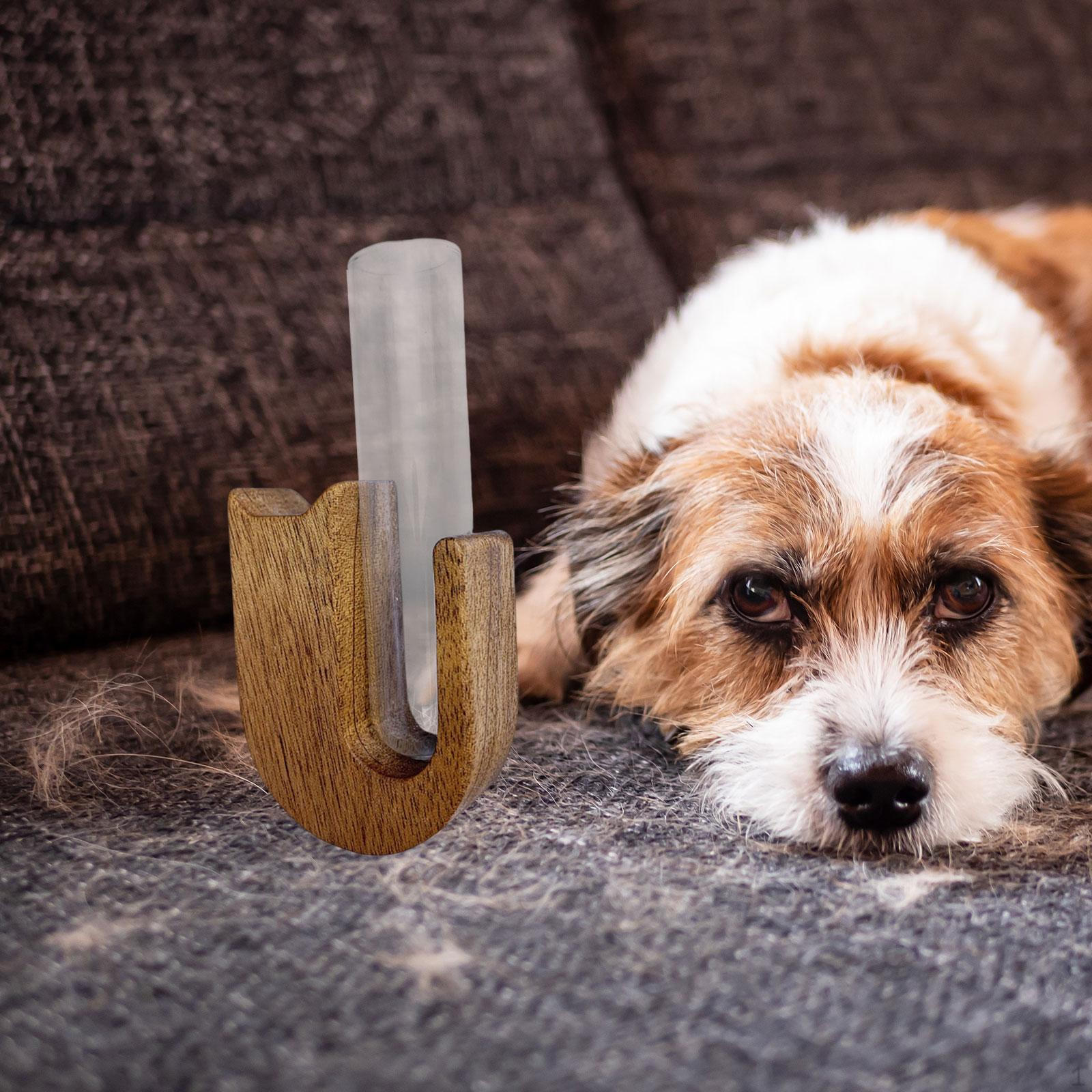 

Банка-ваза в виде кошачьего уса, памятная коробка для хранения вещей для питомцев, коллекционирование бород Color C