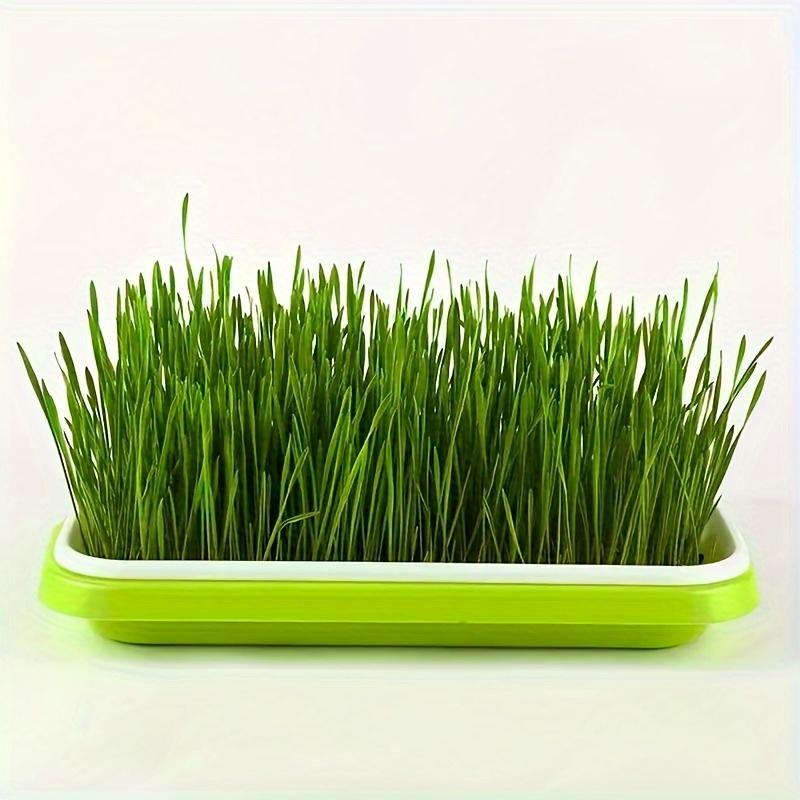 Growing Trays For Sprouting Seeds, Hydroponics Basket Soilless Seed Sprouter, Germination Tray Kit With Lid For Garden