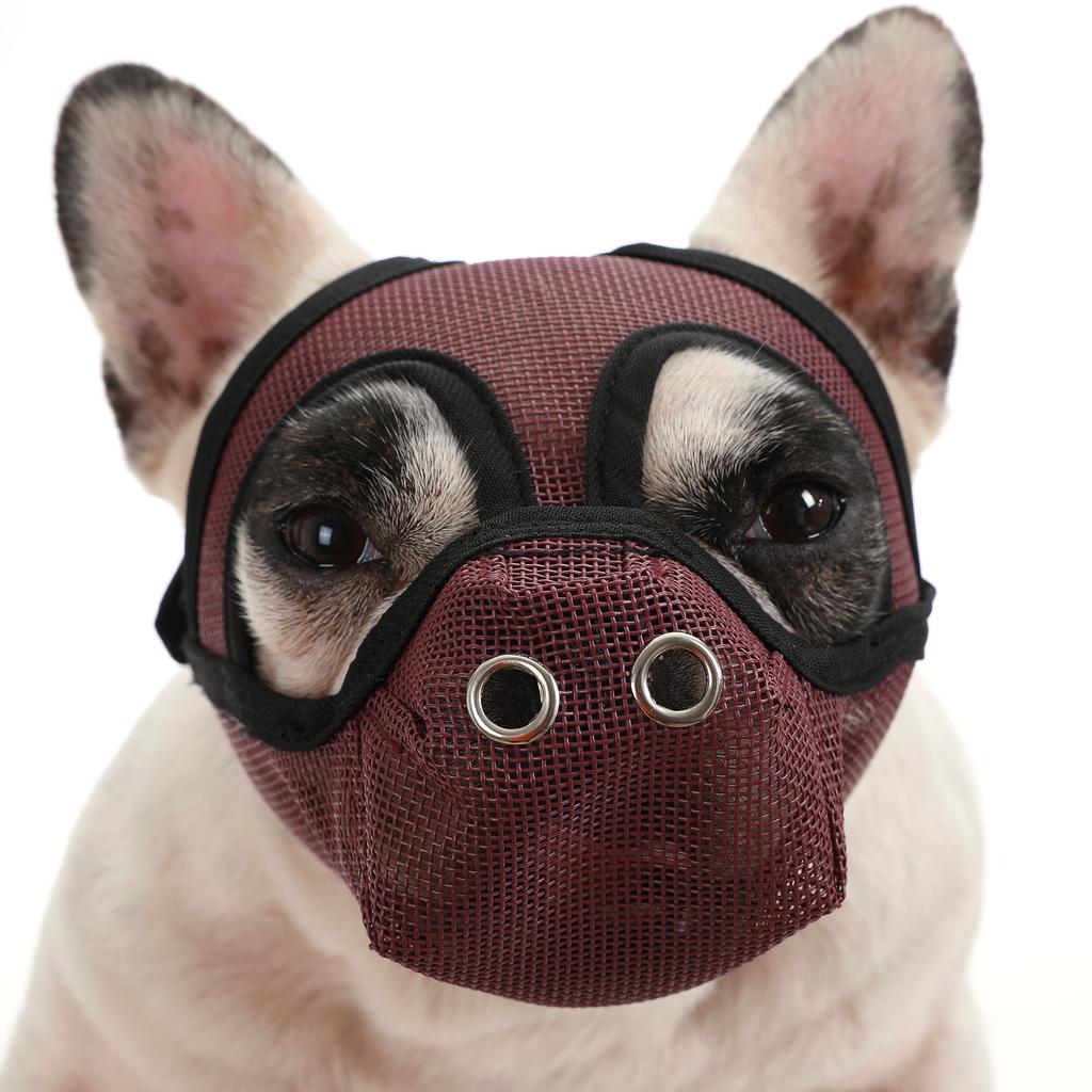 Dog Muzzle Breathable Mesh for Short Snout Dogs Prevent Biting Barking