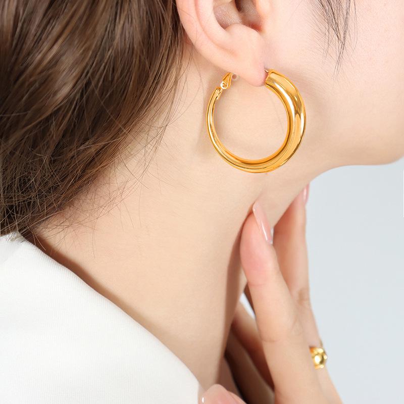 New Large Hoop Titanium Steel Earrings, Niche French Design, Colorfast Stud Accessories for Women