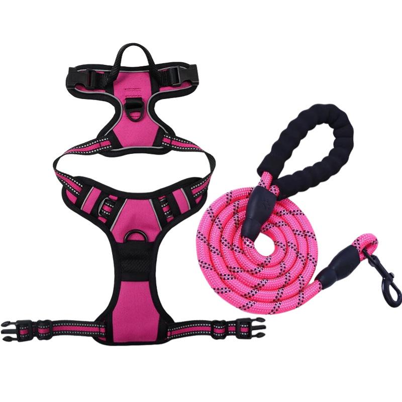 Dog Nylon Chest Harness and Leash for Large Pets
