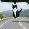 Dog Cat Car Charm Acrylic Rearview Mirror Pendant Cute Backpack Keychain Unique Shape Car Hangers Car Interior Decoration