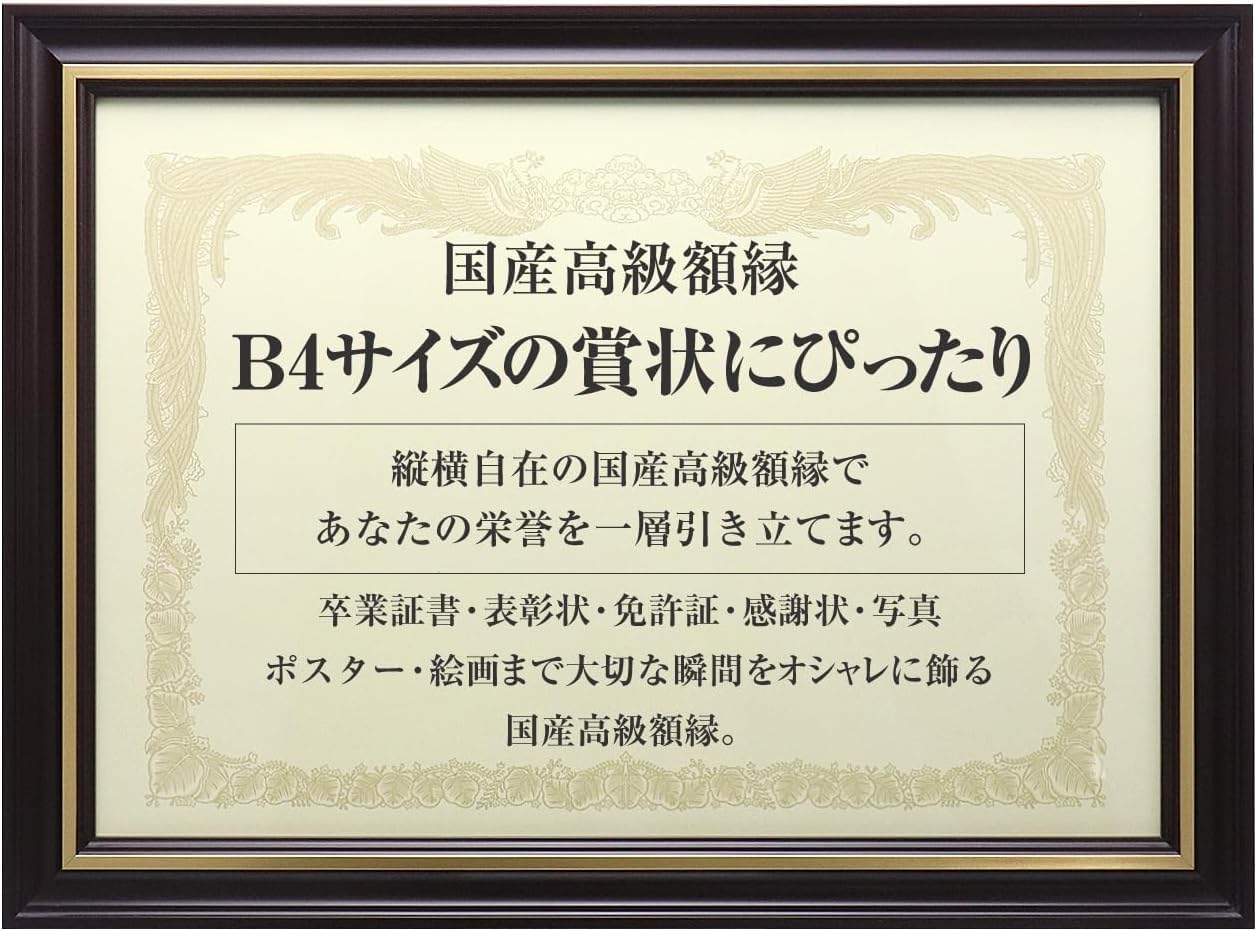 

Японская деревянная Медицинская лицензия медицинская лицензия [Высококачественная рамка] (темно-коричневый, рама)