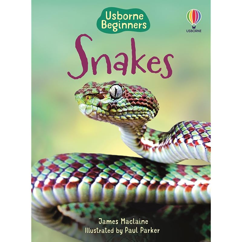 Snakes (Beginners) How Do Snakes Catch Their Food? In This