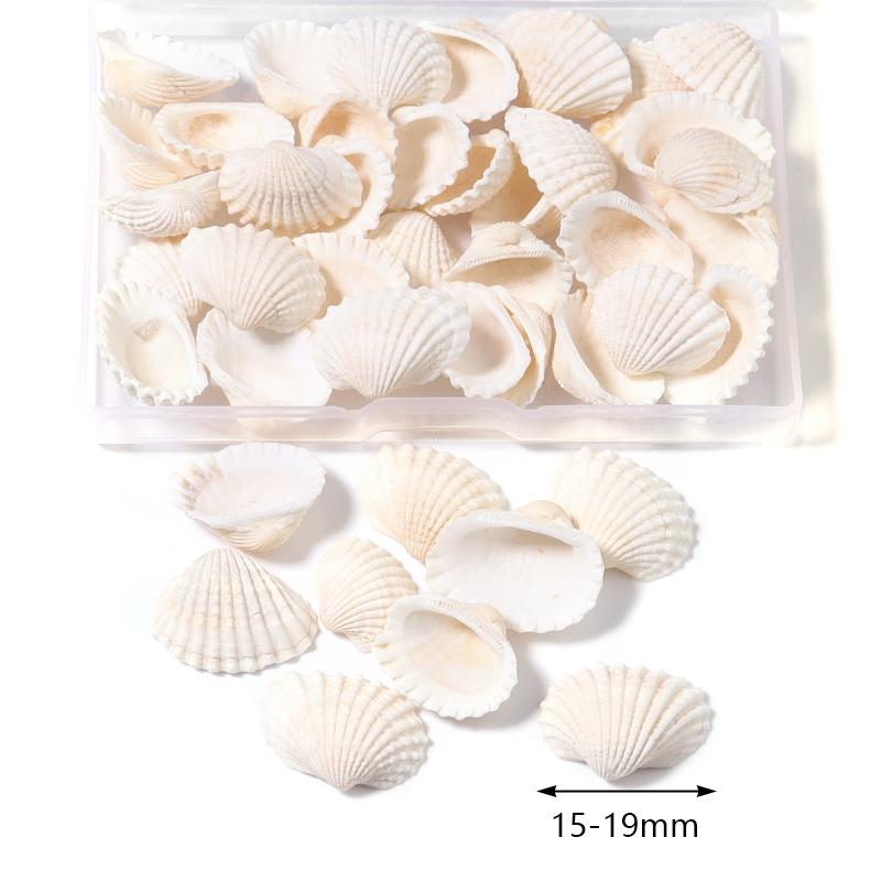 1 Box Sea Shell Spiral Shell Tiny Ocean Spiral Seashell Conch Crafts Aquarium Decoration Landscaping Accessory Photography Props