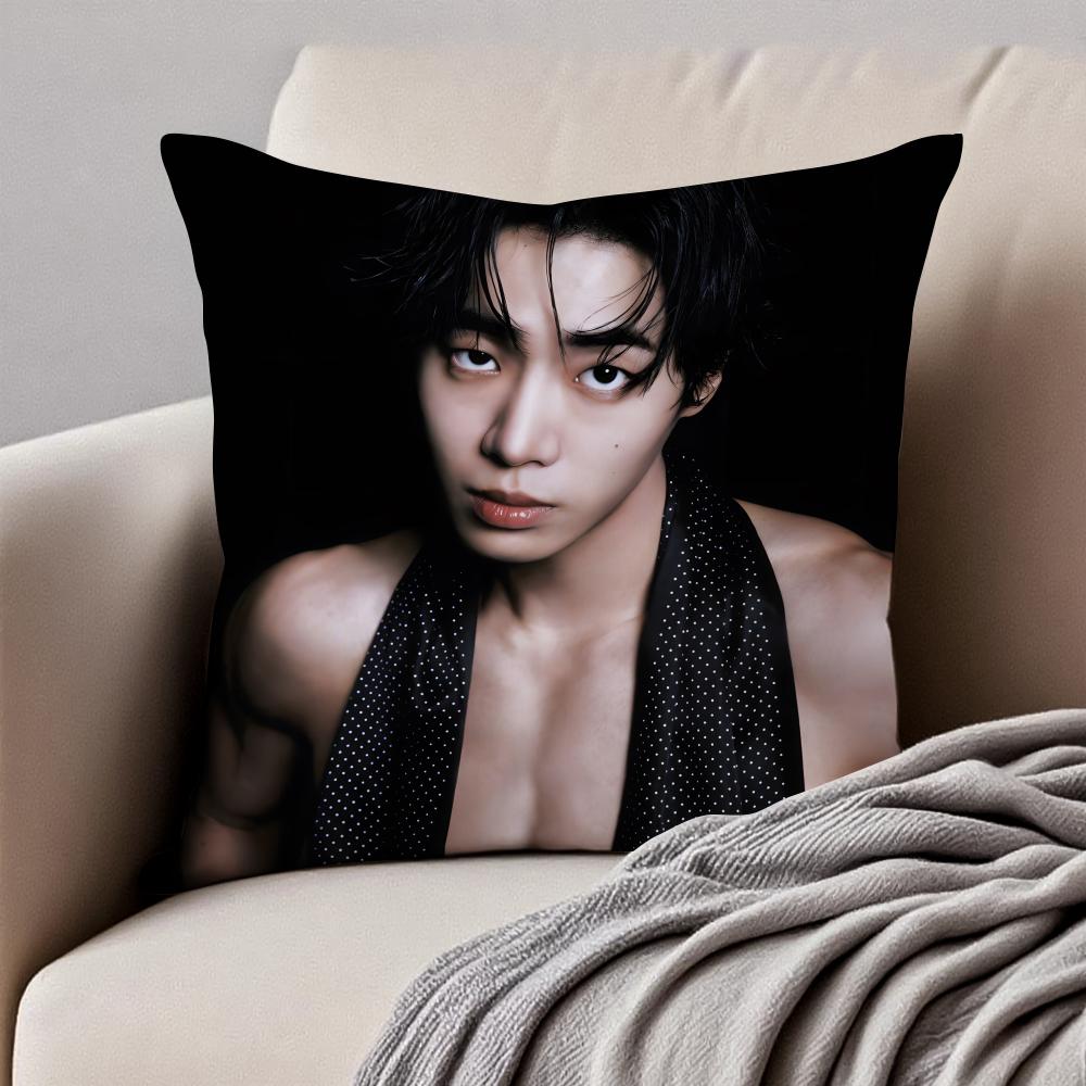 POP Korea CChoo YoungWoo Cushion Cover Pillowcase Antidustmite Invisible Zipper Short Plush Sofa Cushion