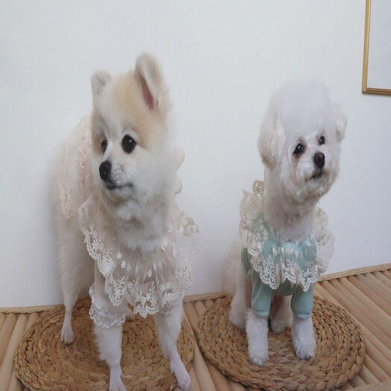 Haneul mung mung angel ray t-shirt 4 colors