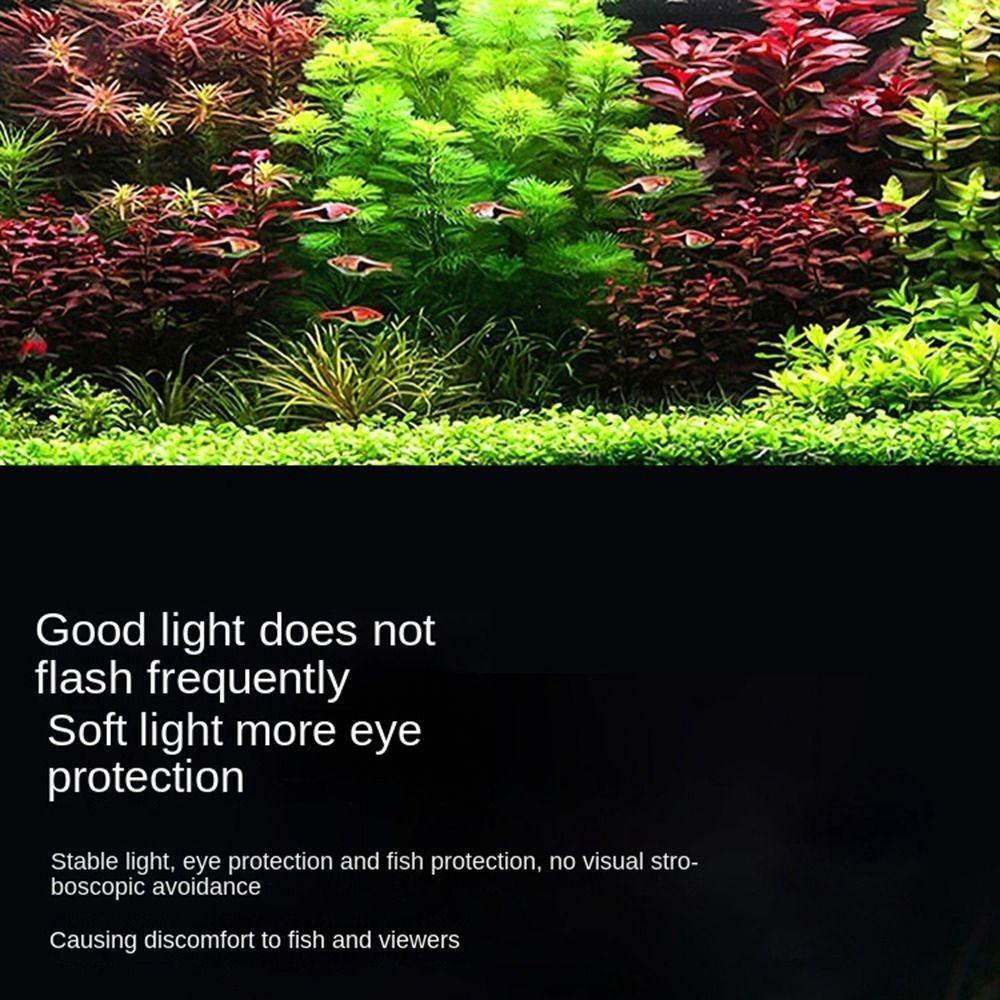 5V USB Aquarium Supplies White and Blue Lights Full Spectrum Control Lamp  Decorative Lighting