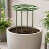2 Pieces Coated Plant Trellis Rust-Resistant Iron Support with Pointed