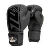 Boxe e artes marciais – Luvas de boxe e artes marciais