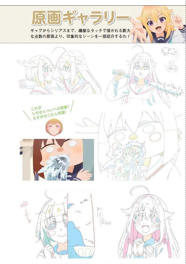 Shikanokokonokoshitantan Livro Oficial do Anime: Kakuka Shika Shikabu (KC de luxo)