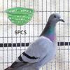 6 Pack Bird Nest Container for Pigeons, Round Storage Breeding