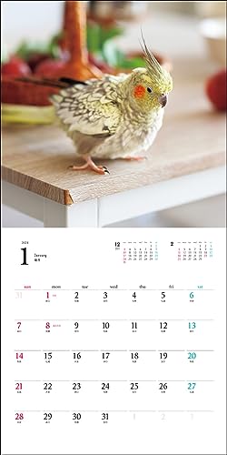 2024 Calendar Cockatiel (Seibundo Shinkosha Calendar)