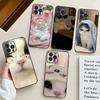 Cute Cat Phone Case For IPhone 17 Air 16 15 14 13 Pro Max 11 12 Black Silicone Cover