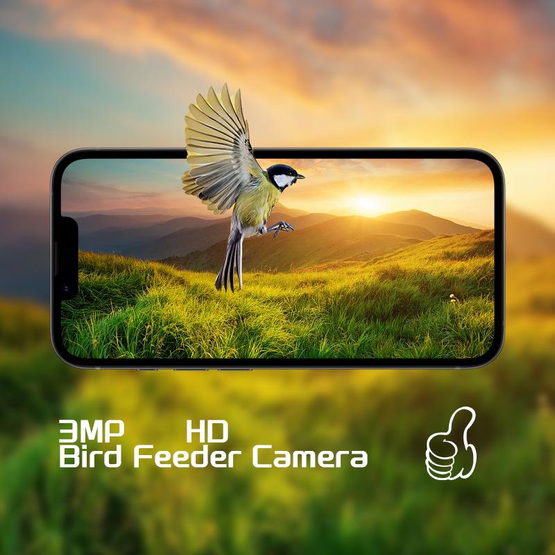 Solar-Powered Hummingbird Feeder with Camera & Remote Control