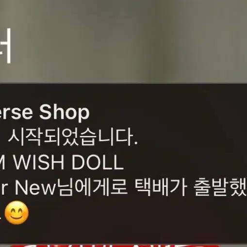 NCT Wish 30cm Daeng-triever