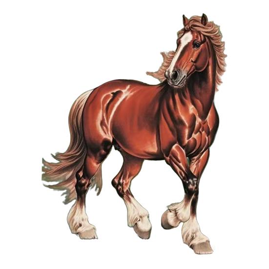 Pferd Ornament Acryl 2D Flach Realistisch Fliegendes Pferd Weihnachtsbaum Anhänger mit Funkelndem Strassstein Zuhause