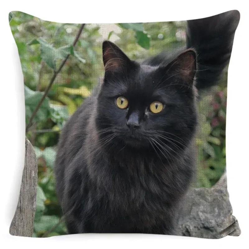 Black Cat Cushion Cover Cotton Linen Square Cat Pillow Case Decorative Pillow Cover for Home Car Sofa Decora Pillowcase Cojines