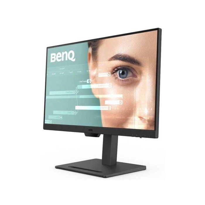 BenQ GW2490T Moniteur de Bureau à Domicile 23,8 Pouces IPS 1080p, 100 Hz,Design Ergonomique, sRGB 99%, VESA, HDMI, DP, B.I., Low