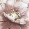 Muriva Aminah Floral Wallpaper