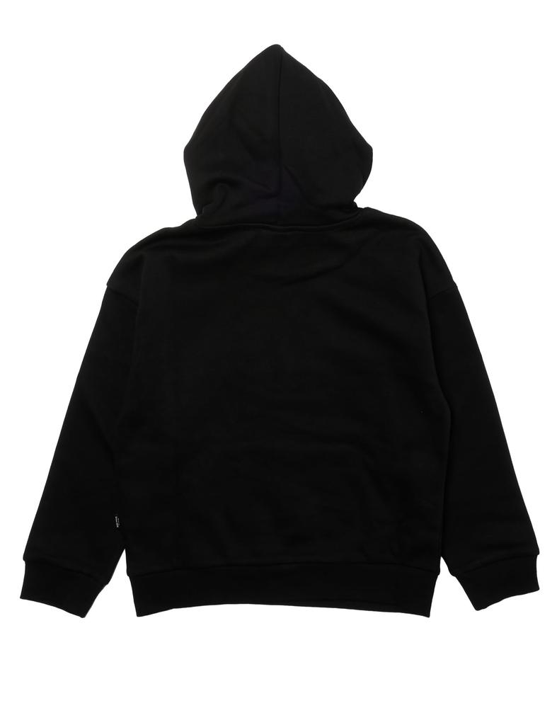 SCRIPT Metallic Hoodie ESS+ Sweatshirt_68405101_120