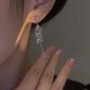 Elegant Zirconia Tassel Earrings for Women – Exquisite, High-End, Fashionable, Versatile Ear Jewelry.
