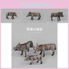 Authentic Wild Boar Model Toy Pvc Animal Figure Ideal For Home Decoration And Gifts