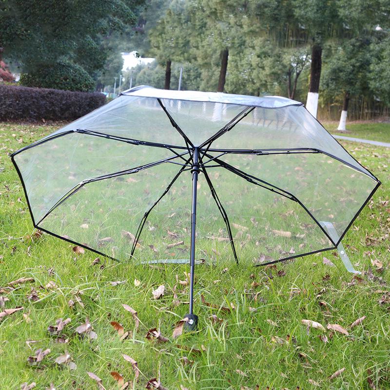 Dual-Use Automatic Transparent POE Umbrella - Xiaohongshu Style with Cats and Dogs Design