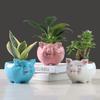 Simple Nordic Cartoon Animal Succulent Flower Pot Ceramic, Creative Gardening Water Flower Potter Home Decoration Ornament
