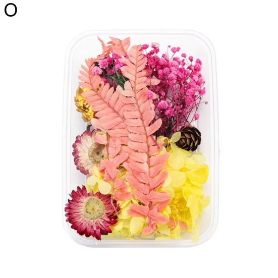 Artă populară Floare uscată Moale Vii Estetică