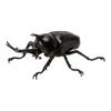 Ornament Twisted Egg Insect Mini Beetle Unicorus Dynastes Simulation Animal Model Collection Desktop Ornament FIGURE PLAYTHINGS