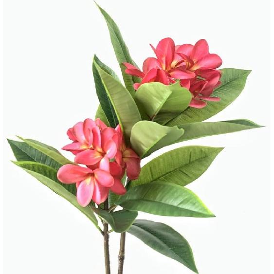 XIYUAN 35.5 Inch Artificial Flowers Artificial Frangipani Flower 2 Stems Lifelike Real Touch Artificial Plumeria Flowers for Home Party Wedding