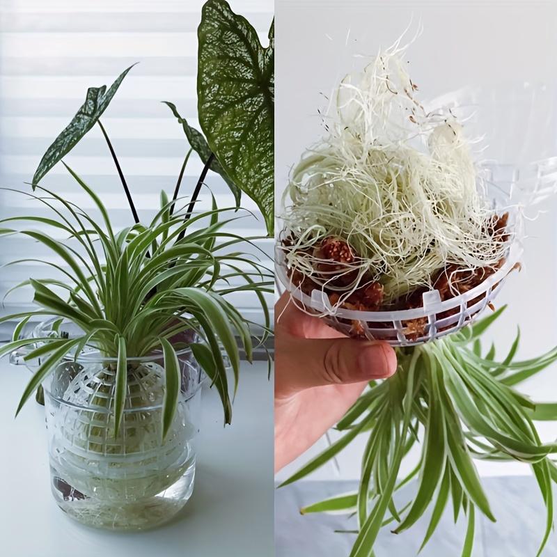 6pcs Modern Plastic Hanging Planter Balls with Drainage Holes, Round Indoor - Outdoor Gardening Accessories for Succulents