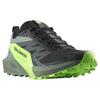 SALOMON Sense Ride 5 'Black Laurel Wreath' / L00 473111
