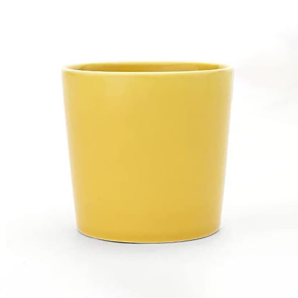 Iittala (Iittala) [Official Import] Iittala Teema Mug 0.3L Honey 1026887