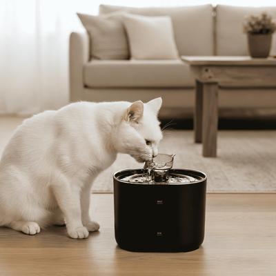 Haustier-Wasserbrunnen mit Live-Zirkulationsfilter für Katzen und Hunde - Automatischer Spender