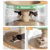 Double Layer Wear-Resistant Cat Scratching Board Transparent Tunnel Integrated Sofa Anti-Cat Scratch Cat Toy No Shedding