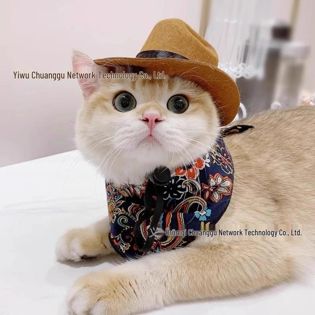 Western Cowboy Straw Hat for Small Pets - Cat & Dog Costume Photo Prop