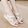Fashion Women's Sandals Summer 2025 New Outdoor Sandals Flat Top High Quality Hiking Slope Heel Hollow Breathable Casual Shoes 35-40